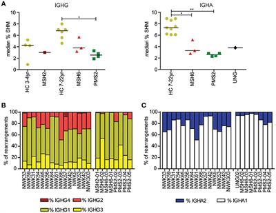 Repertoire Sequencing of B Cells Elucidates the Role of UNG and Mismatch Repair Proteins in Somatic Hypermutation in Humans